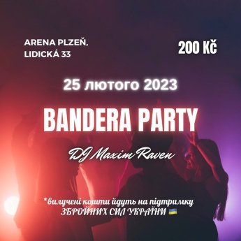 Полиция в Чехии из-за Бандеры начала проверку украинских дискотек — фото 1