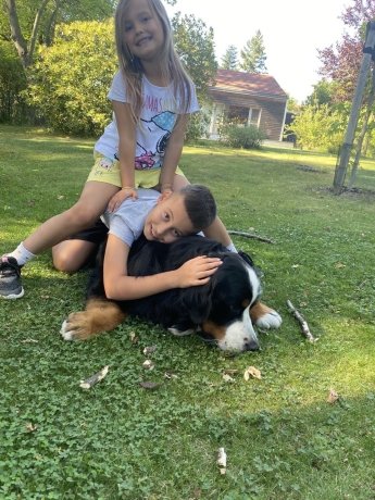 «Мечтаем вернуться и отстроить наш дом» – история семьи беженцев из Киевщины, дом которой разбомбил российский снаряд — фото 5