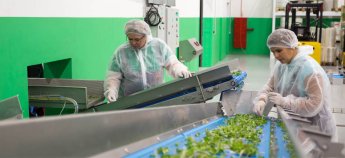 Свідоцтво про працю в Польщі: що це та навіщо воно українцям