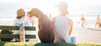 У Фінляндії побито черговий рекорд за кількістю спекотних днів