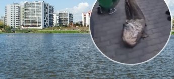 У Варшаві арештували українця, який виловив легендарного сома-велетня з місцевого озера
