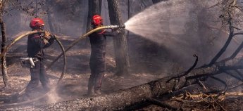 Пожежники Франції гасять лісове полум'я