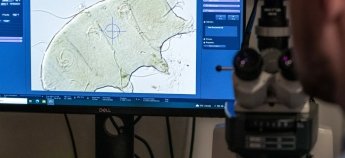 Вчені вивчають Тихохідок