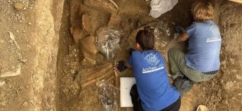 Археологи розкопують колісницю воїна-принца піценів в Італії