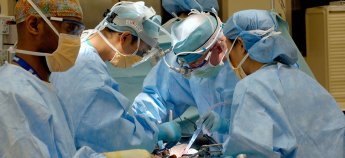 Чи справді українські біженці в ЄС масово стають донорами нирок