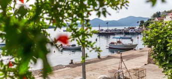 Як живуть українці в Чорногорії