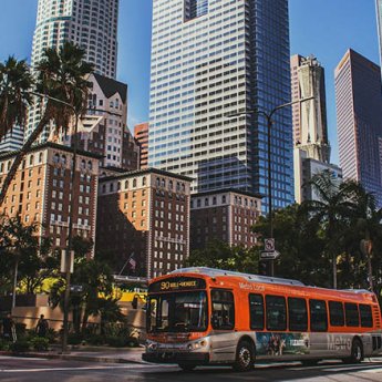 Українці у США: мінімальний бюджет для життя в Лос Анджелесі