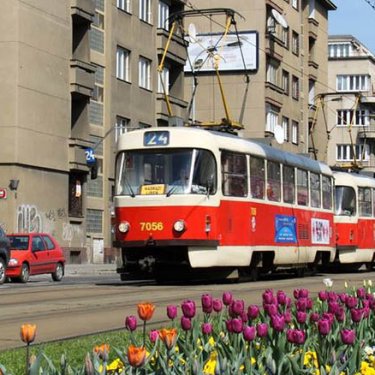 Де у Чехії найдешевше орендувати житло: ціни в регіонах