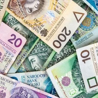 Як українцям отримати від держави 300 злотих на навчання дитини у Польщі