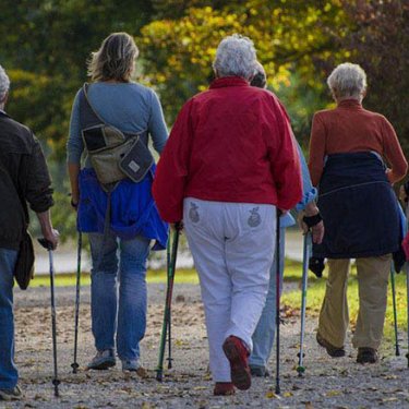 В Варшаве приглашают на бесплатные занятия по nordic walking