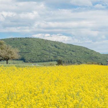 Украинцев приглашают на бесплатные экскурсии в швейцарский природный парк Шаффхаузен