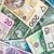 Як українцям отримати від держави 300 злотих на навчання дитини у Польщі