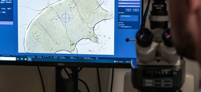 Вчені вивчають Тихохідок