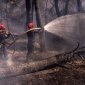 Пожежники Франції гасять лісове полум'я